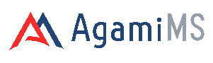 Agami Merchent Solutions